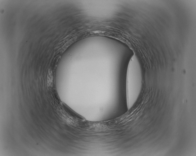 X0000067901443200604131026