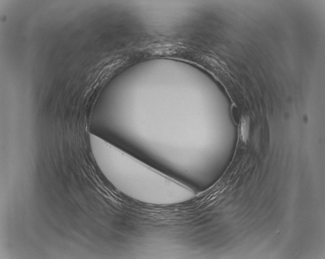 X0000067901444200604131026