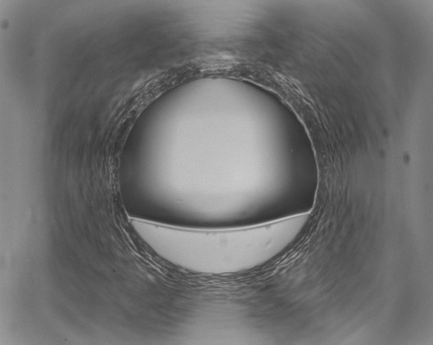 X0000067901445200604131026