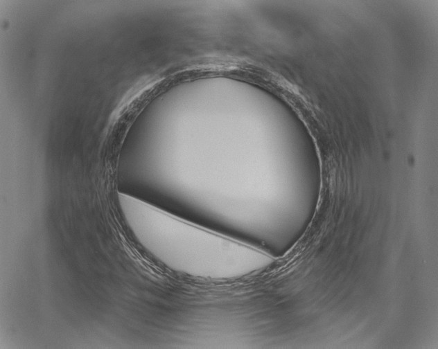 X0000067901448200604131026