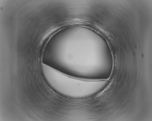 X0000067901453200604131026