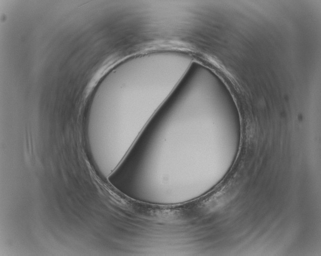 X0000067901459200604131026