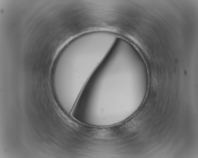X0000067901460200604131026