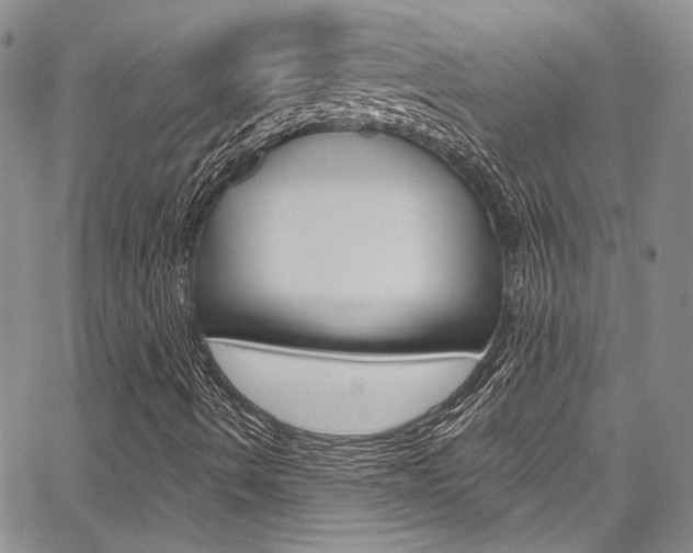 X0000067901490200604131025