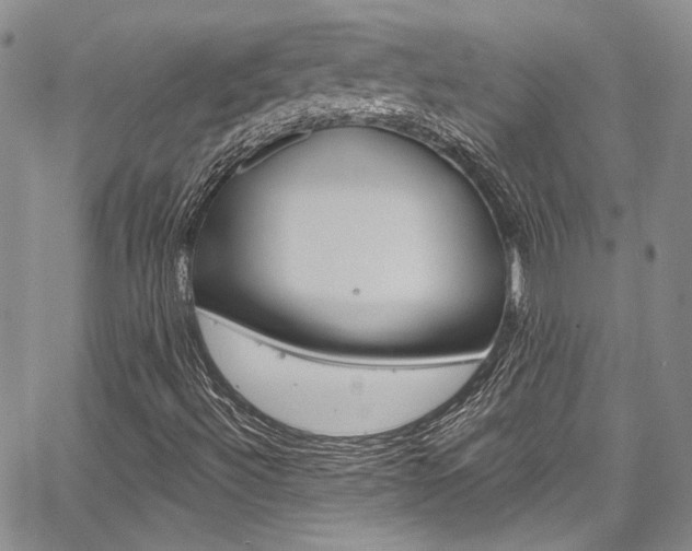 X0000067901492200604131025