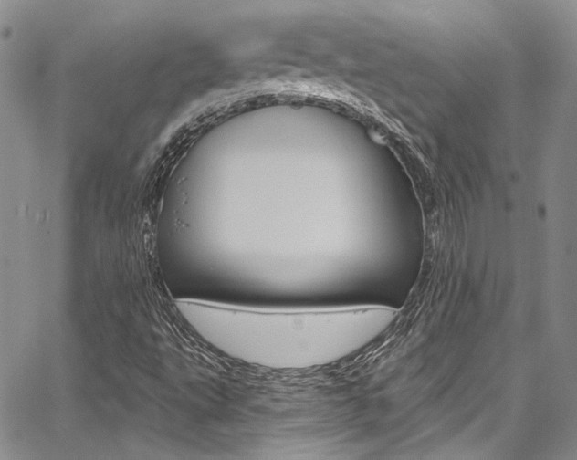 X0000067901495200604131025