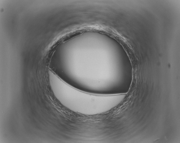 X0000067901496200604131025