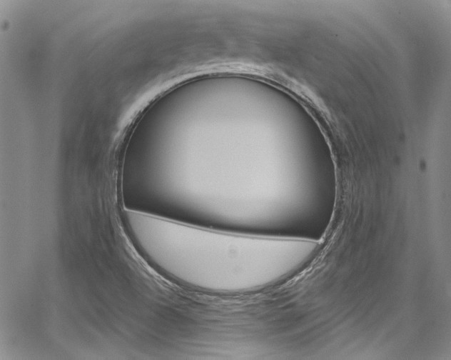 X0000067901504200604131025