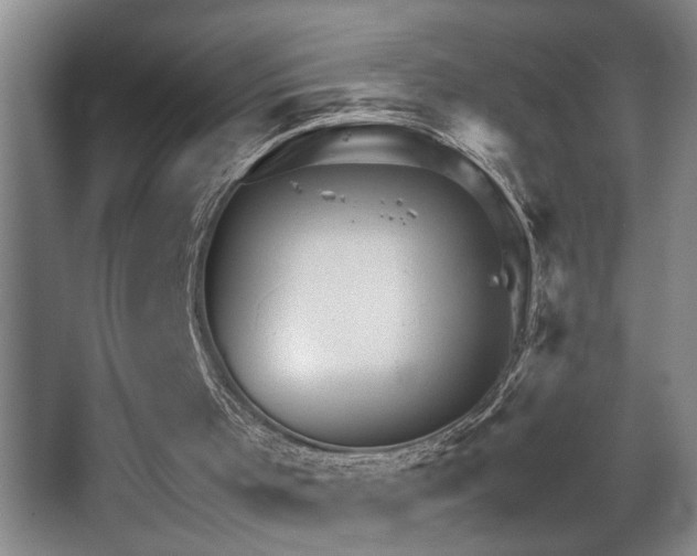 X0000067900001200604131406