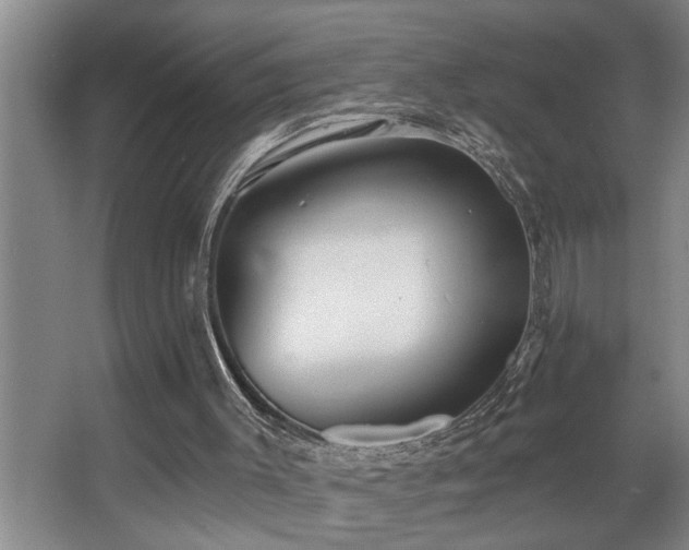 X0000067900003200604131406