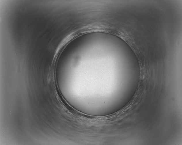 X0000067900004200604131406