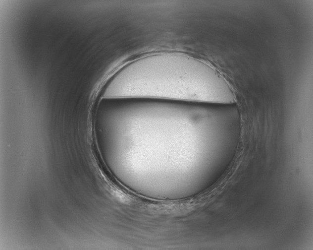 X0000067900005200604131406