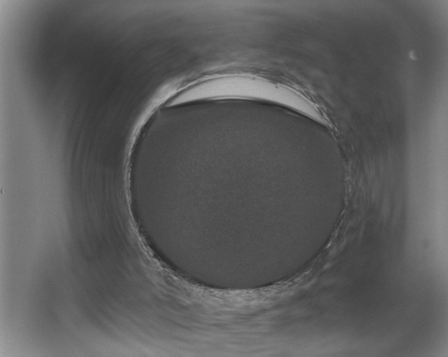 X0000067900006200604131406