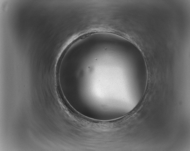 X0000067900008200604131406