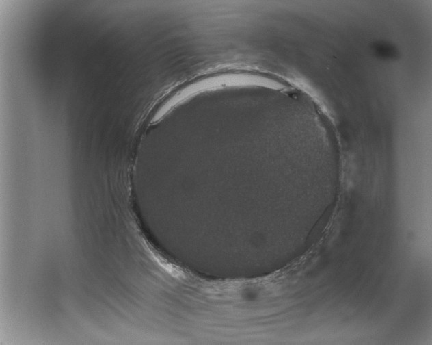 X0000067900009200604131406