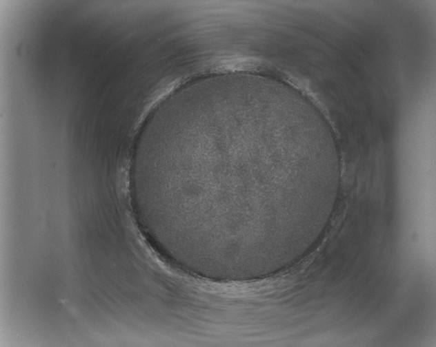 X0000067900010200604131406