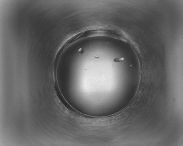 X0000067900011200604131406