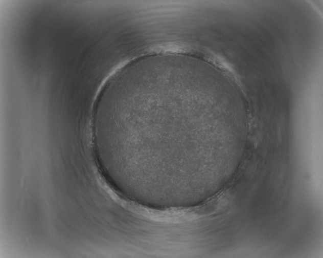 X0000067900012200604131406