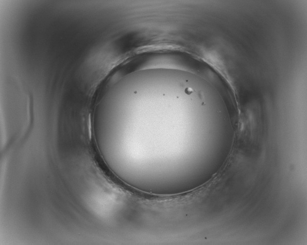 X0000067900013200604131406