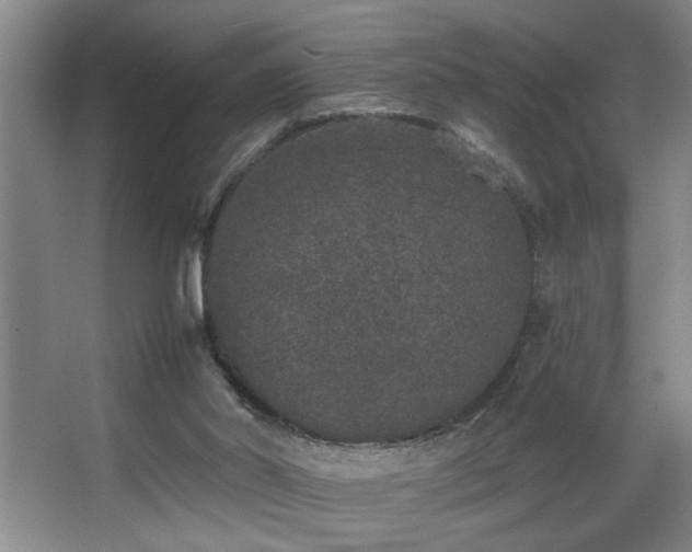 X0000067900014200604131406