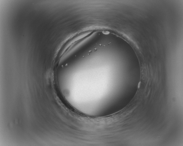 X0000067900015200604131406