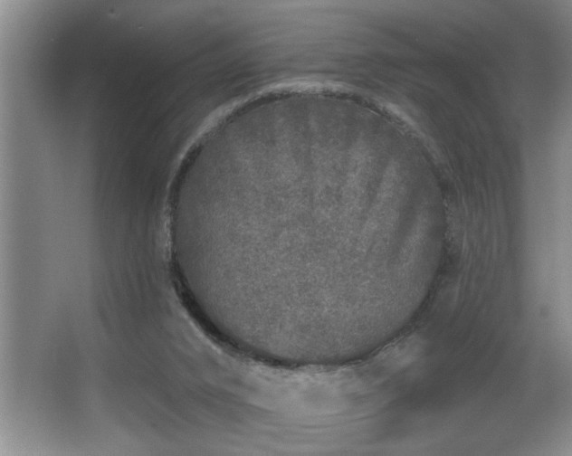 X0000067900016200604131406