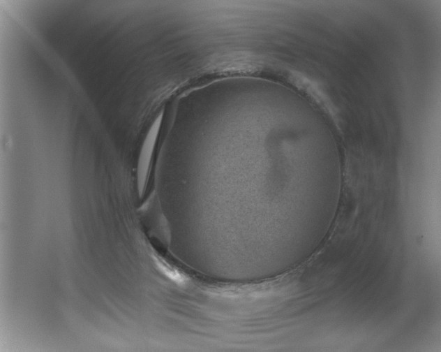 X0000067900017200604131406