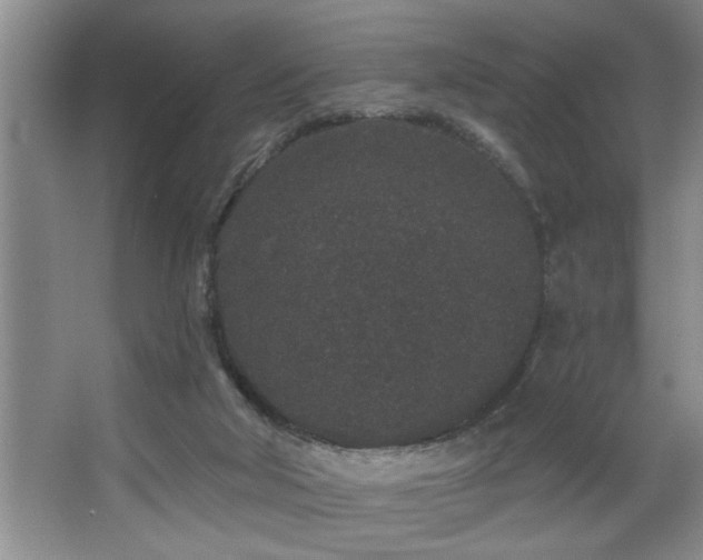 X0000067900018200604131406