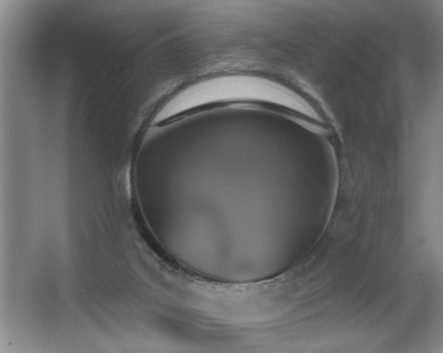 X0000067900019200604131406