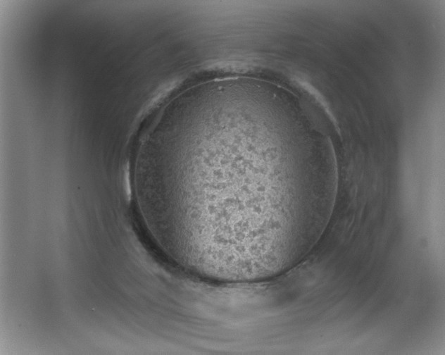 X0000067900020200604131406