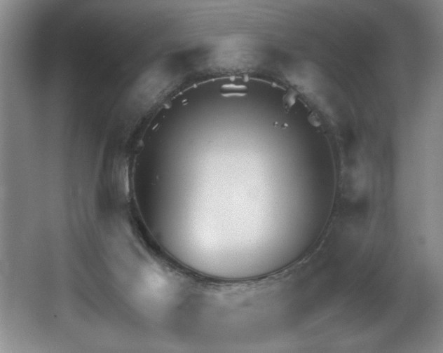 X0000067900021200604131406