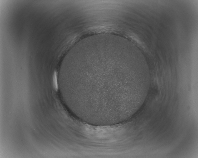 X0000067900022200604131406