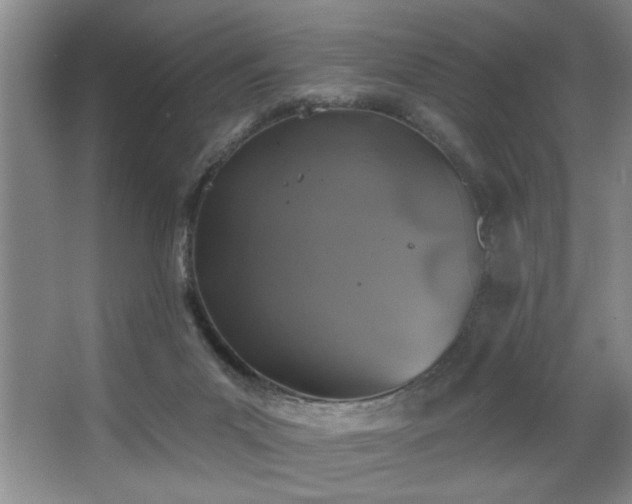 X0000067900023200604131406