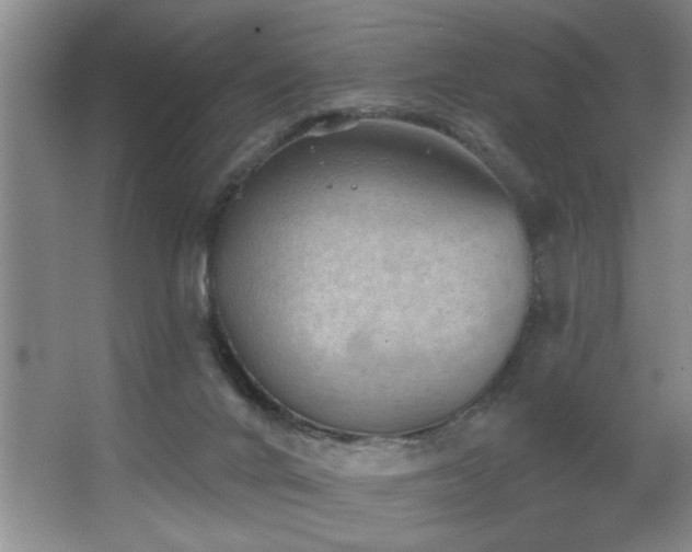 X0000067900024200604131406