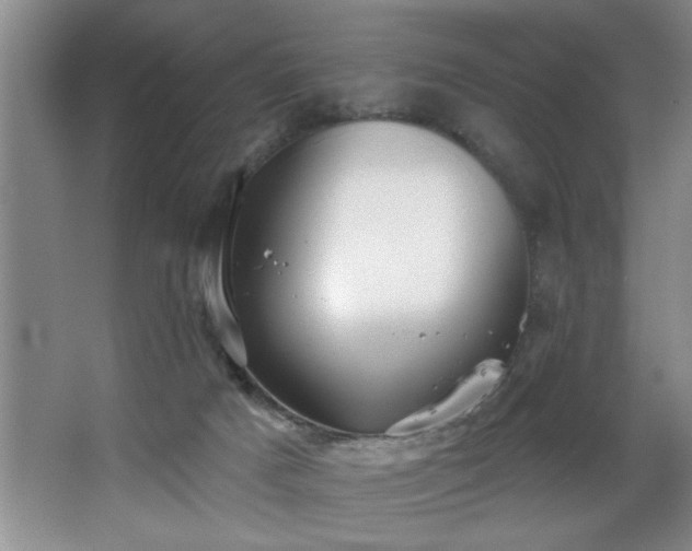 X0000067900025200604131406