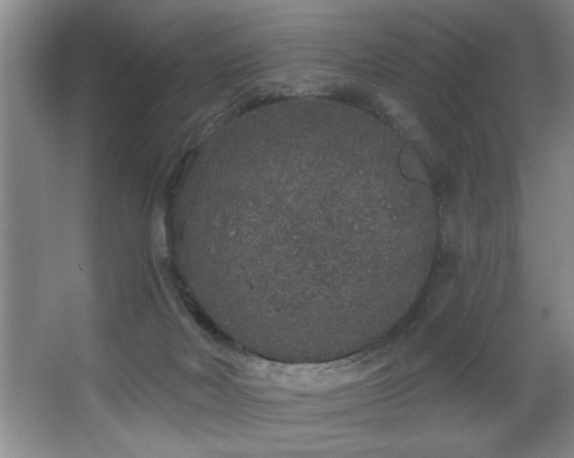 X0000067900026200604131406