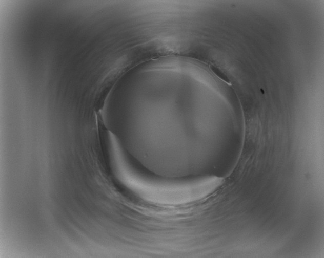 X0000067900027200604131406