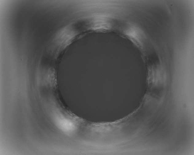 X0000067900029200604131406