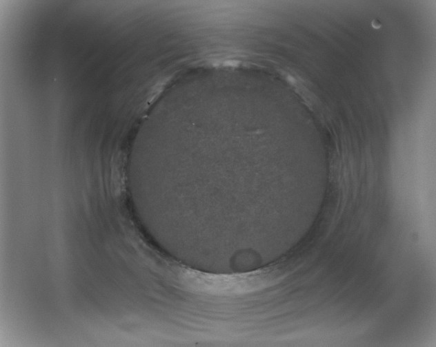 X0000067900030200604131406