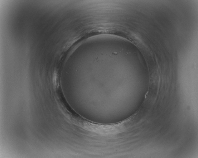 X0000067900031200604131406