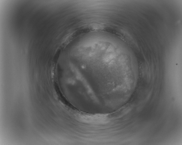 X0000067900032200604131406