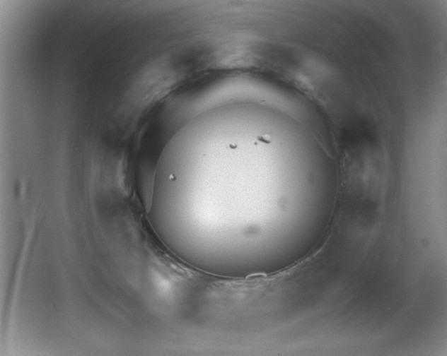 X0000067900033200604131406