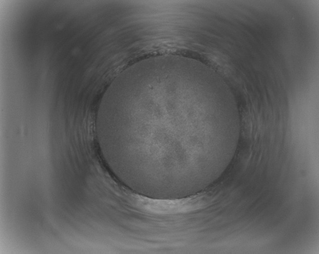 X0000067900034200604131406