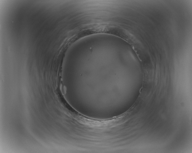 X0000067900035200604131406