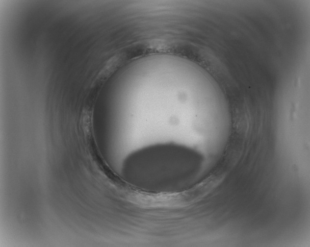 X0000067900036200604131406