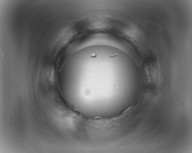 X0000067900037200604131406