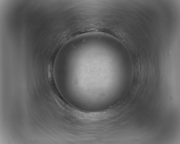 X0000067900038200604131406