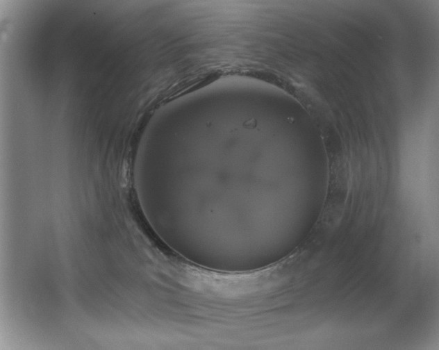 X0000067900039200604131406