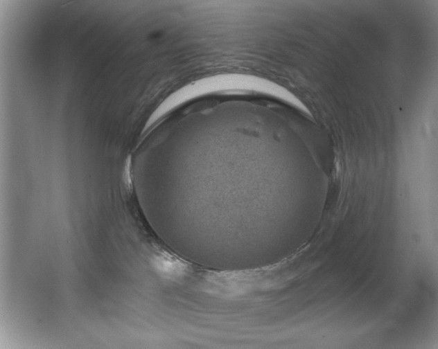 X0000067900041200604131406