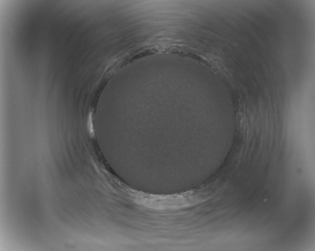 X0000067900042200604131406